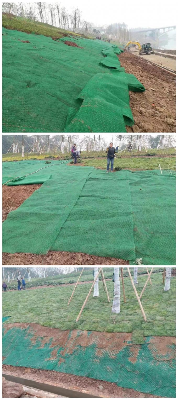 Slope Protection 3D Geomat ECB Green Erosion Control Blanket 0