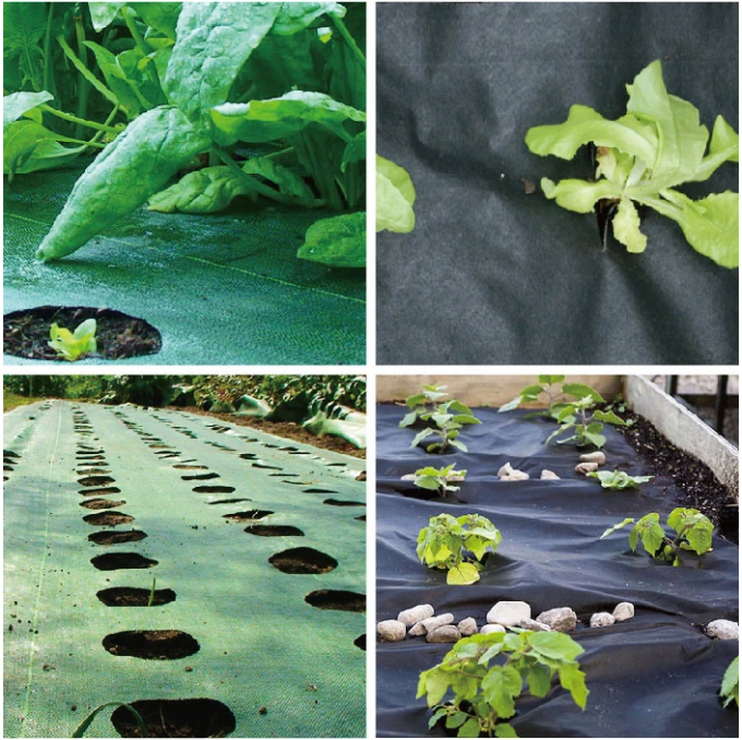 70-100GSM BLACK PP WOVEN GEOTEXTILE GROUND COVER FABRIC FOR WEED CONTROL/ WEED BARRIER 2