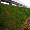 Coconut Fiber Erosion Control Blanket ( Turf Reinforcement Mat ) for Slope Protection And Vegetation