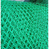 Plastic Planar Geo Net For Slope Protection Drainage Layer Retaining Wall Breeding Farm