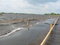 GT1000 High Strength PP Woven Geotextile 200kn/M Geotube Breakwater In Marine Project