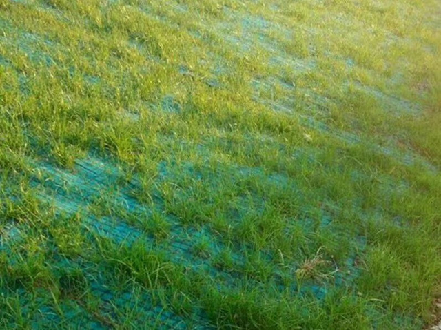 Coconut Fiber Erosion Control Blanket / Mat Reinforced By Nonwoven And Geogrid