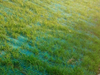 Coconut Fiber Erosion Control Blanket For Slope Protection And Vegetation Establishment