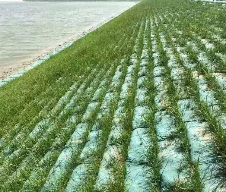 120-140gsm Needle Punch Nonwoven Geo Bags / Silt Bags For River Bank Protection