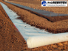 PP Welded Geogrid For Soft Soil Foundation