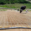 Coconut Fiber Erosion Control Blanket ( Turf Reinforcement Mat ) for Slope Protection And Vegetation