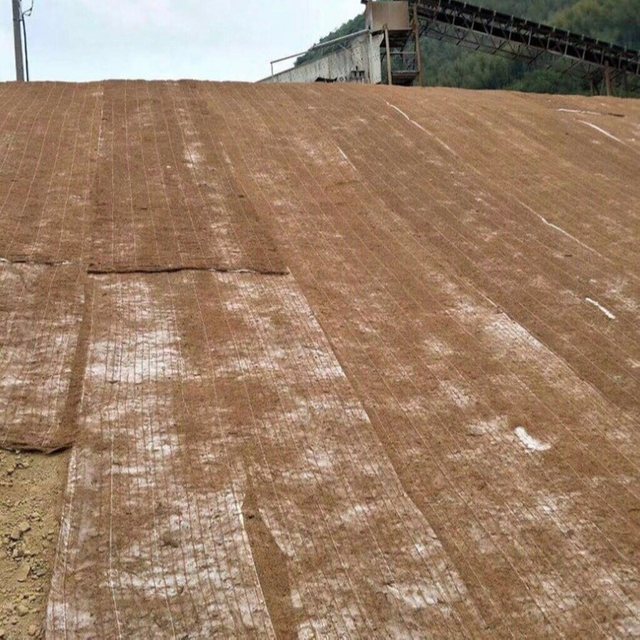 Coconut Turf Reinforcement Mat (TRM) Erosion Control Blanket ( ECB) For slope protection to reinforce the root system