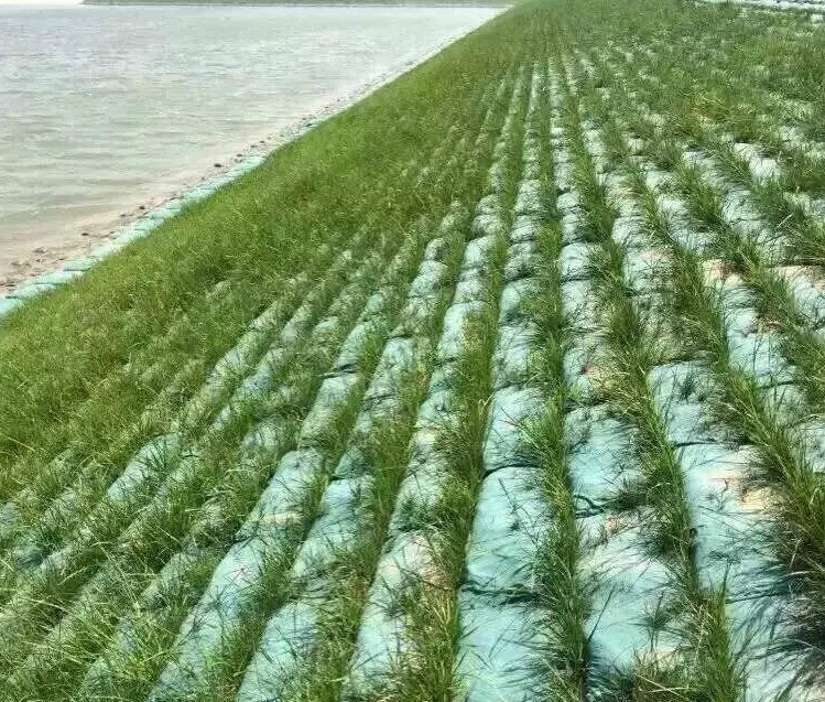 30-30KN/M Needle Punch Nonwoven Geotextile Big Silt Big Or Small Geo Bags For Slope Protection