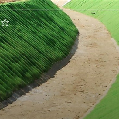 Erosion Control Blanket Nonwoven Geotube Woven Revetment Mattress Filled With Sand