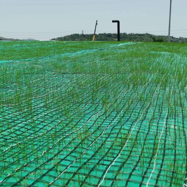 Coconut Turf Reinforcement Mat (TRM) Erosion Control Blanket ( ECB) For slope protection to reinforce the root system