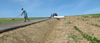 PIONEERTEX Concrete Erosion Control Mat GCCM Rolls For Permanent Erosion Control Project