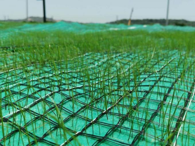 Organic Quick Grass Coconut Fiber Erosion Control Blanket 1