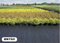 Landscape Pe Woven Geotextile Fabric Ground Cover 50-100gsm For Weed Control
