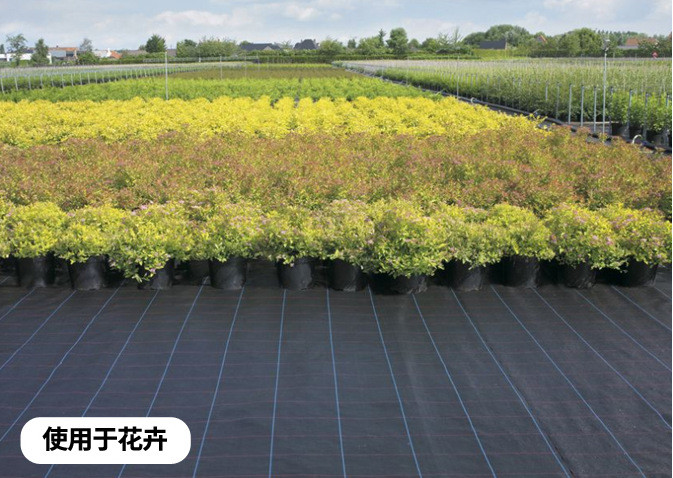 Landscape Pe Woven Geotextile Fabric Ground Cover 50-100gsm For Weed Control