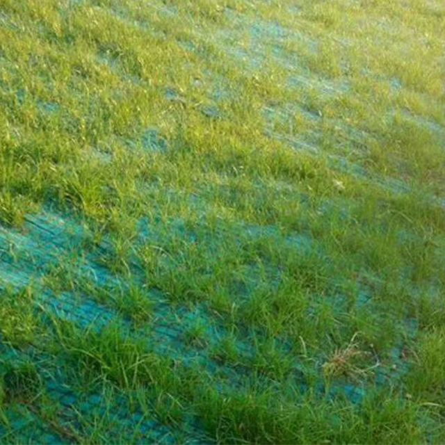 Coconut Fiber Erosion Control Blanket ( Turf Reinforcement Mat ) for Slope Protection And Vegetation