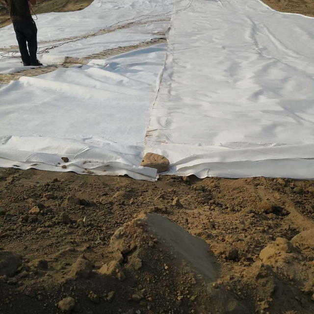 1.5mm LDPE Geomembrane Laminated with 300gsm PET Filament Needle Punch Nonwoven Geotextile Composite Geomembrane for waterproof Projects