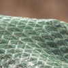 3D PP Monofilament Woven Erosion Control Geotextile Mesh For Vegetation Establishment 