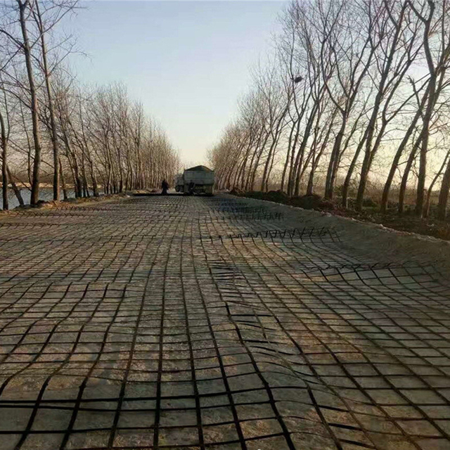 Steel Plastic Geogrid for Road Reinforcement And Construction