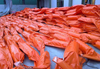 Floating Oil Containment Booms