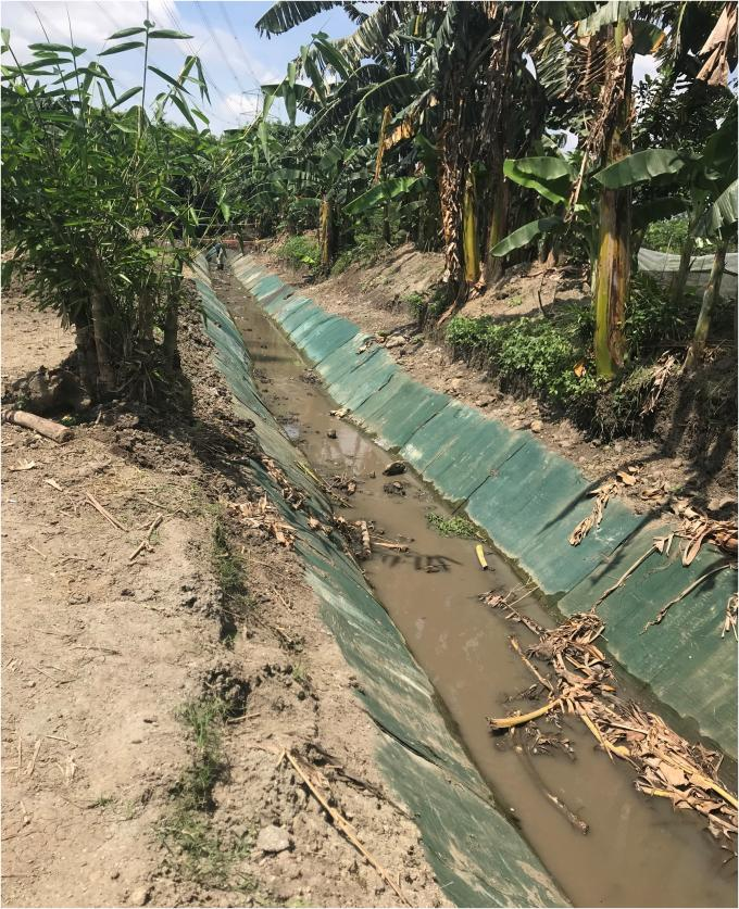 latest company news about PIONEERTEX Concrete Mat Cloth was applied for ditch lining in Philippines project-Case Study 4